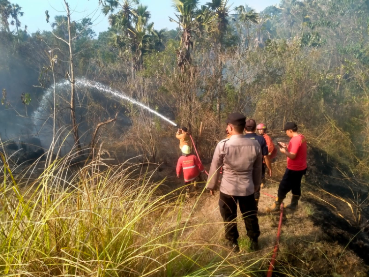 Petugas damkar melakukan pemadaman api