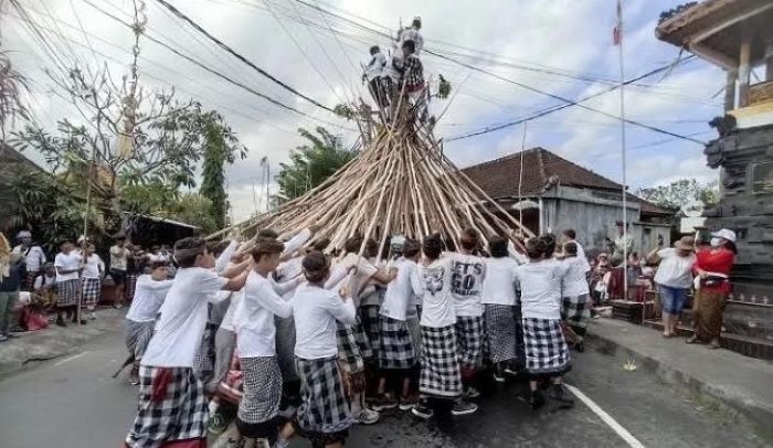 Pelaksanaan Makotek di Desa Munggu, Kecamatan Mengwi, Kabupaten Badung, Bali.