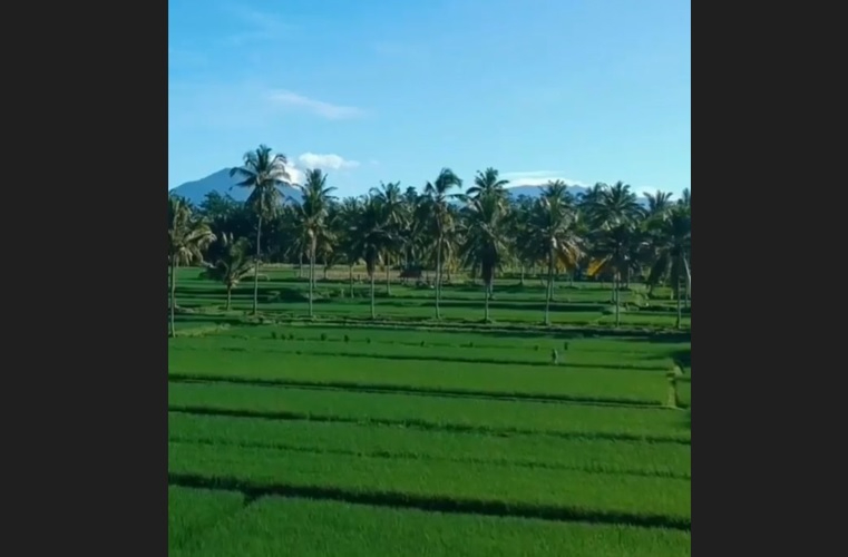 Pesona alam Desa Kekeran, Mengwi, Kabupaten Badung.