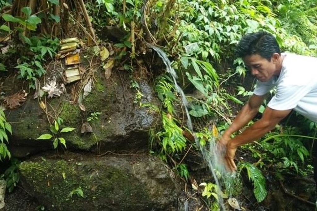 Yeh Lateng Diyakini Bisa Sembuhkan Kurap, Kudis, hingga Koreng