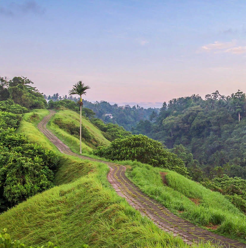 MENAWAN: Bukit Campuhan Ubud, Gianyar menawarkan petualangan seru di hidden gem, yang tak jauh dari lokasi glamping di Kintamani Bali.