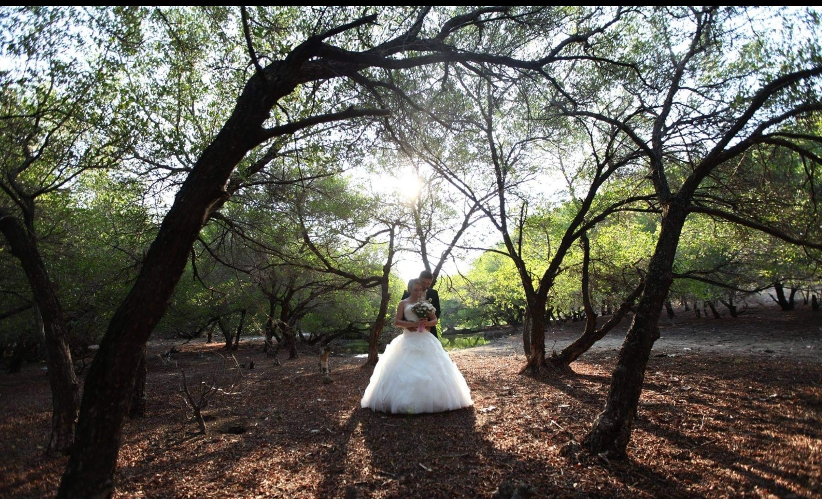 PERBUKITAN: Buleleng memiliki beberapa perbukitan yang cocok untuk berwisata, atau untuk lokasi prewedding dan syuting film. Beberapa di antaranya belum banyak tang tahu.