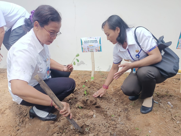 Pengembangan kebun organik oleh Rotary Buleleng Sakti di SDN 3 Alasangker