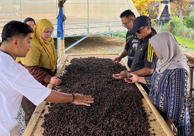 Ketua Kelompok Tani Subak Abian Batur Cepaka Pupuan Nyoman Kasim (tengah) menunjukan aplikasi Postalasi untuk menjual komoditi hasil perkebunannya tanpa perantara tengkulak