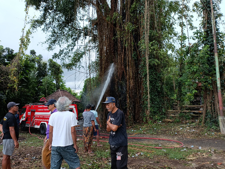 Pohon beringin tua yang berada di areal kuburan/sema Naga, Banjar Tegal, tiba-tiba terbakar hebat Jumat (9/8) dini hari.