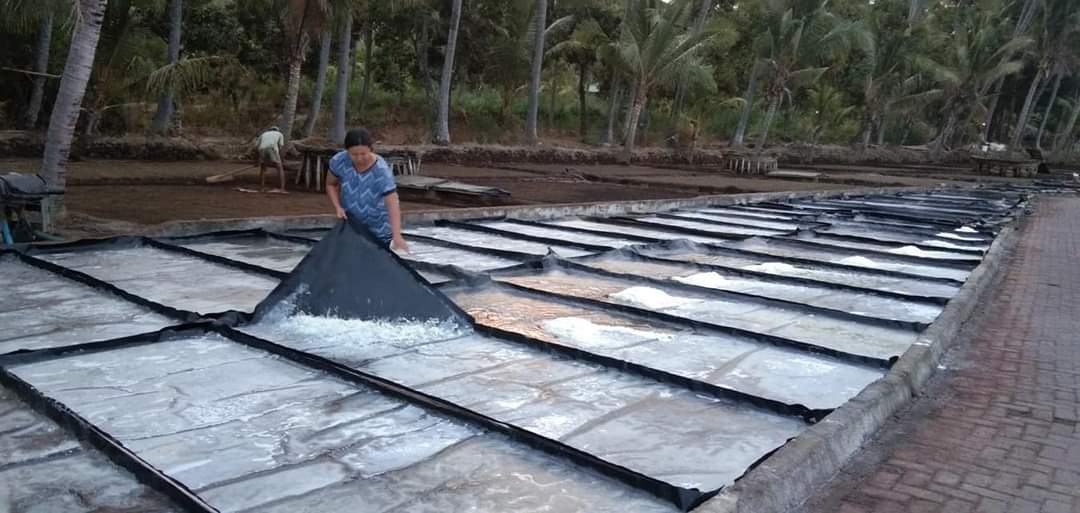 Desa Les Kecamatan Tejakula, Buleleng identik dengan produksi Garam Tradisional yang sudah dilakoni dari turun temurun