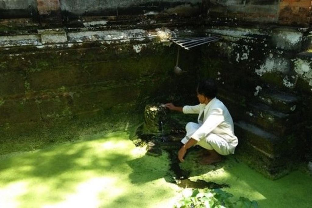 Pura Yeh Pulu yang terletak di Banjar Batu Lumbang, Desa Bedulu, Blahbatuh, Kabupaten Gianyar, Bali