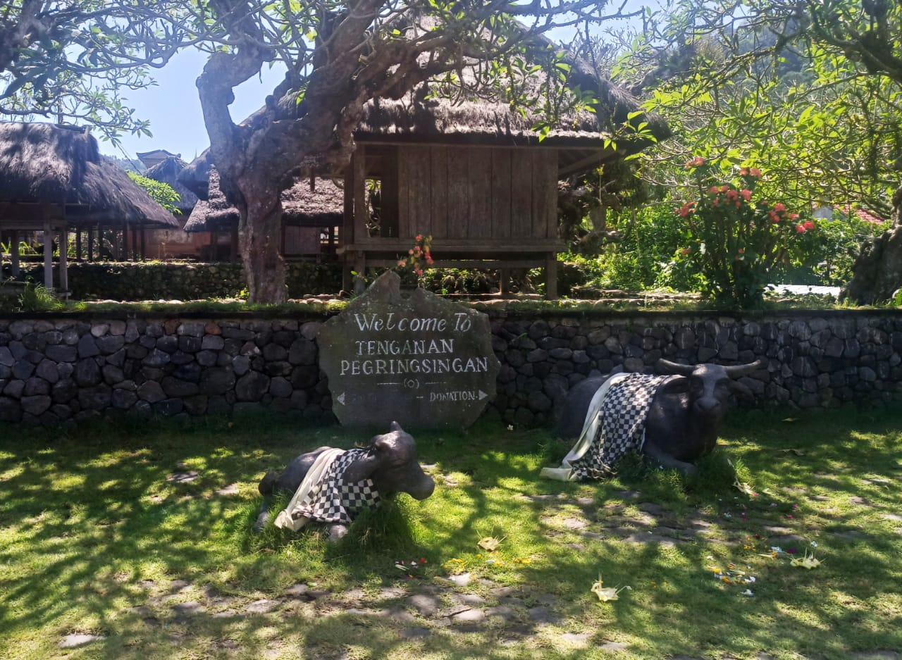 Bersaing dengan Kintamani, Glamping Seru di Buleleng Bali Ini Punya Sensasi Menginap Sambil Petik Jeruk