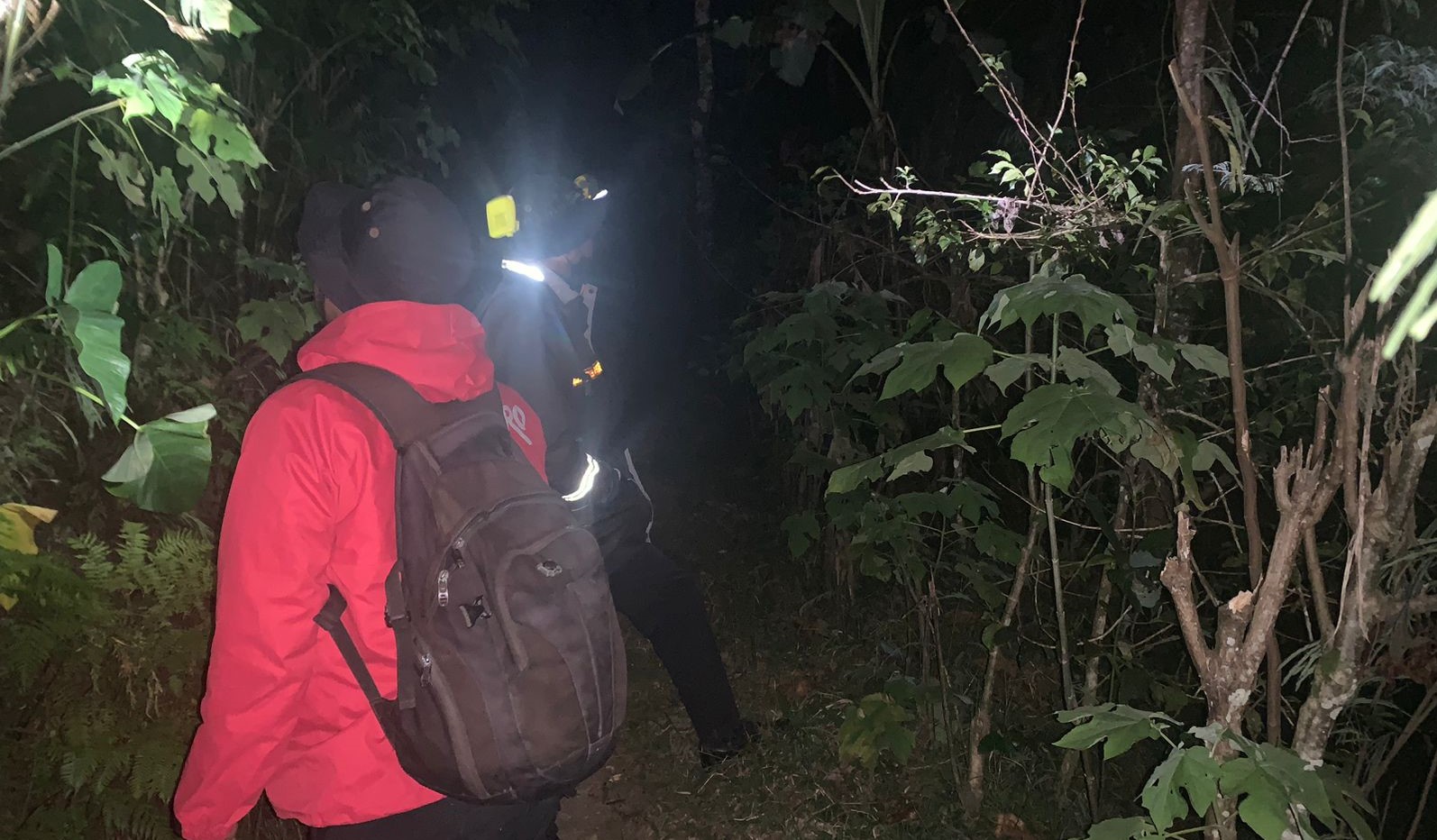 Tim SAR melakukan pencarian dua orang tersesat di Gunung Batukaru, Kabupaten Tabanan, Bali, Senin (19/8/2024).