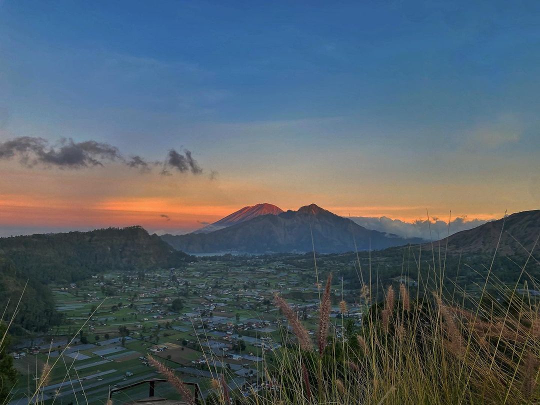 Jungle Camping Kintamani