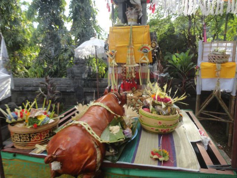 Babi Guling dalam banten Bebangkit