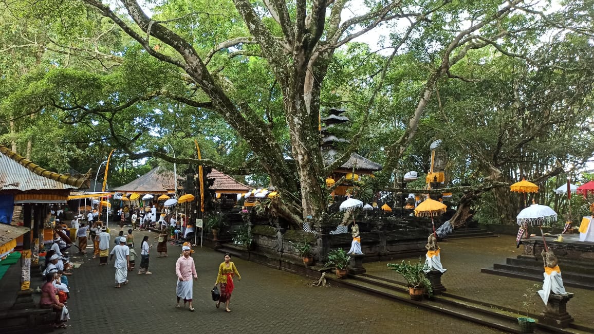 Pura Bukit Sinunggal menjadi bagian dari Sejarah Desa Tajun
