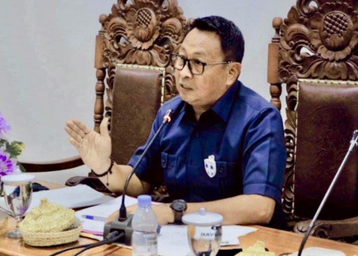 Sekretaris DPC Demokrat Gianyar Ida Bagus Gaga Adi Saputra.