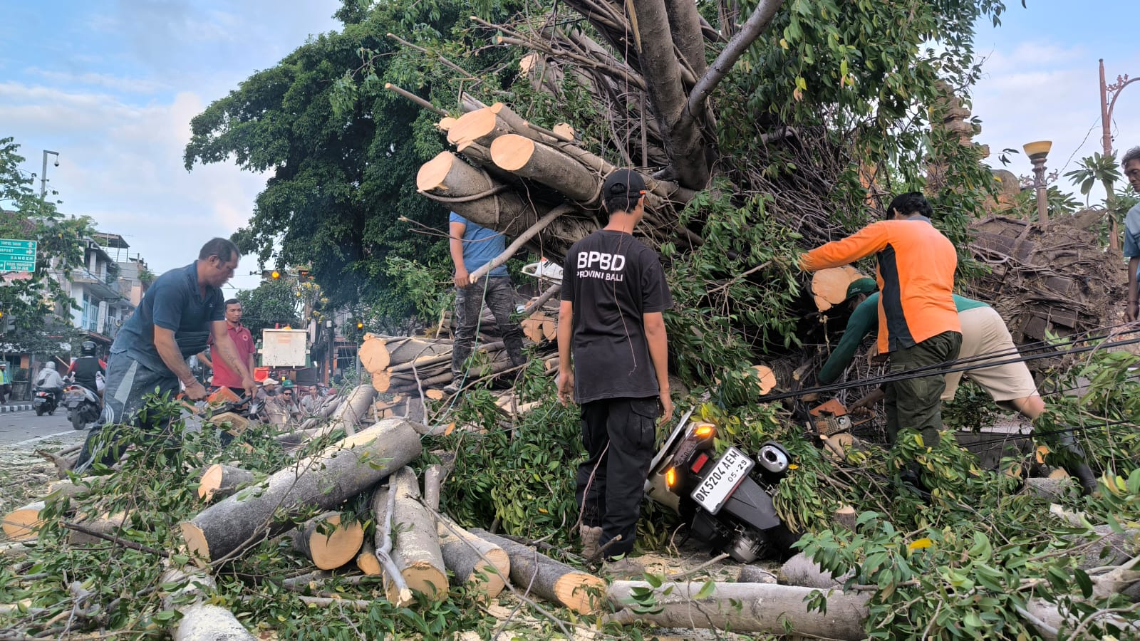 Petugas BPBD Kota Denpasar, Damkar, dan DLHK saat membersihkan pohon Beringin yang tumbang di utara Pasar Badung, Minggu 25 Agustus 2024.