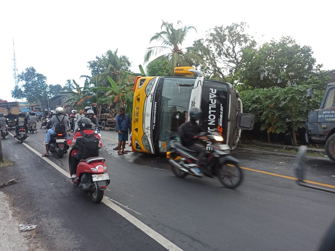 TERGULING: Bus Sarwodadi terguling di Kerambitan, lantaran menghindari tabrakan dengan kendaraan yang tiba-tiba berhenti. Delapan orang dilarikan ke rumah sakit.