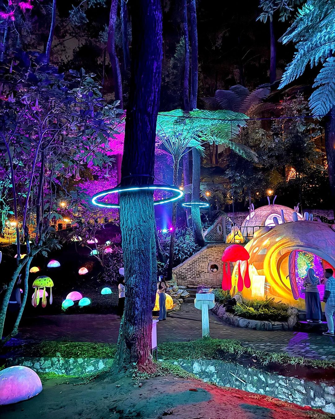 JAMUR: Hutan Mycelia tawarkan keajaiban pesona jamur bercahaya pada malam hari di tengah hutan, dengan suasana magis.