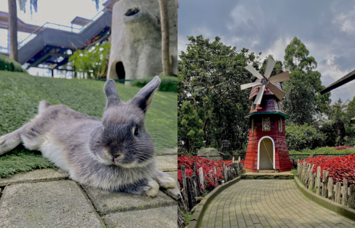 Farmhouse Lembang menghadirkan pengalaman wisata ala peternakan Eropa yang unik dan menarik, menjadikannya salah satu destinasi favorit di Bandung.
