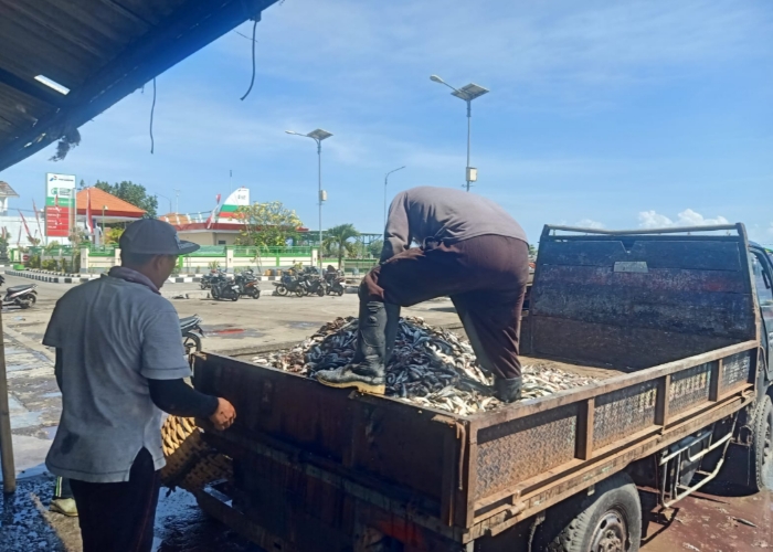 Aktifitas nelayan di pasar ikan di Pelabuhan Perikanan Nusantara (PPN) Pengambengan, Jumat (30/8/2024).