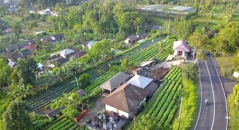 Desa Baturiti di Kecamatan Baturiti, Tabanan, Bali, memiliki sejarah yang panjang.