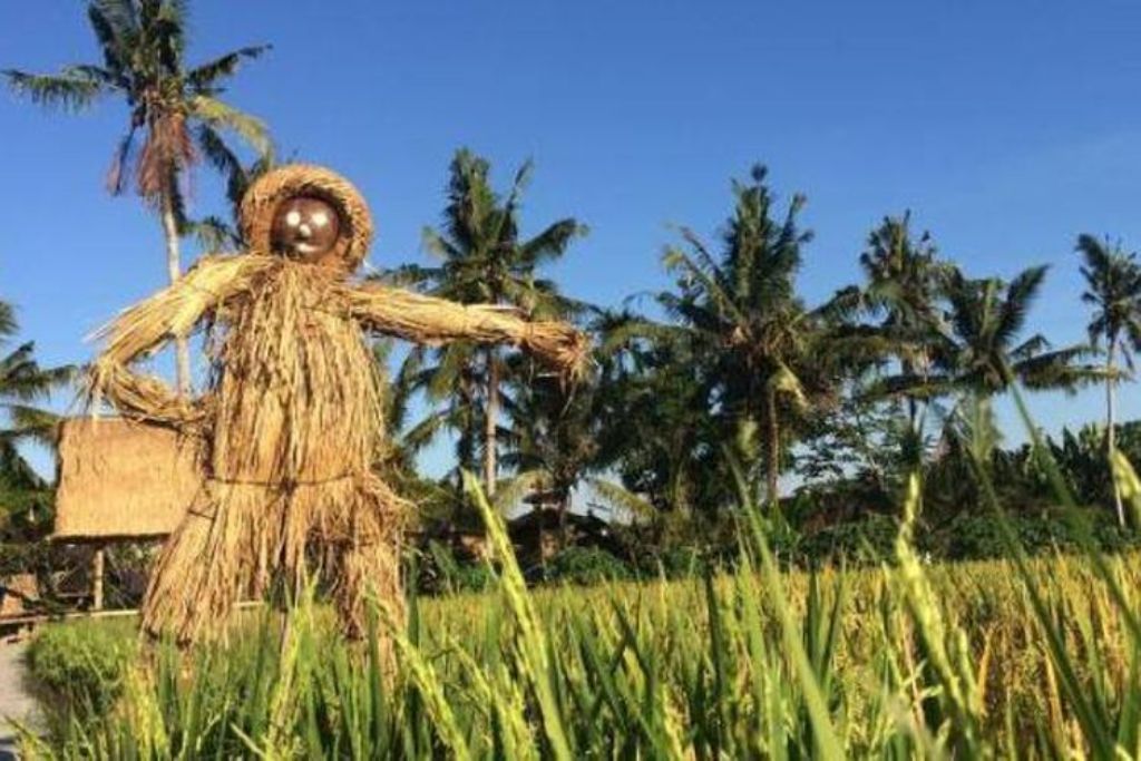 Lelakut, karya seni petani Bali.