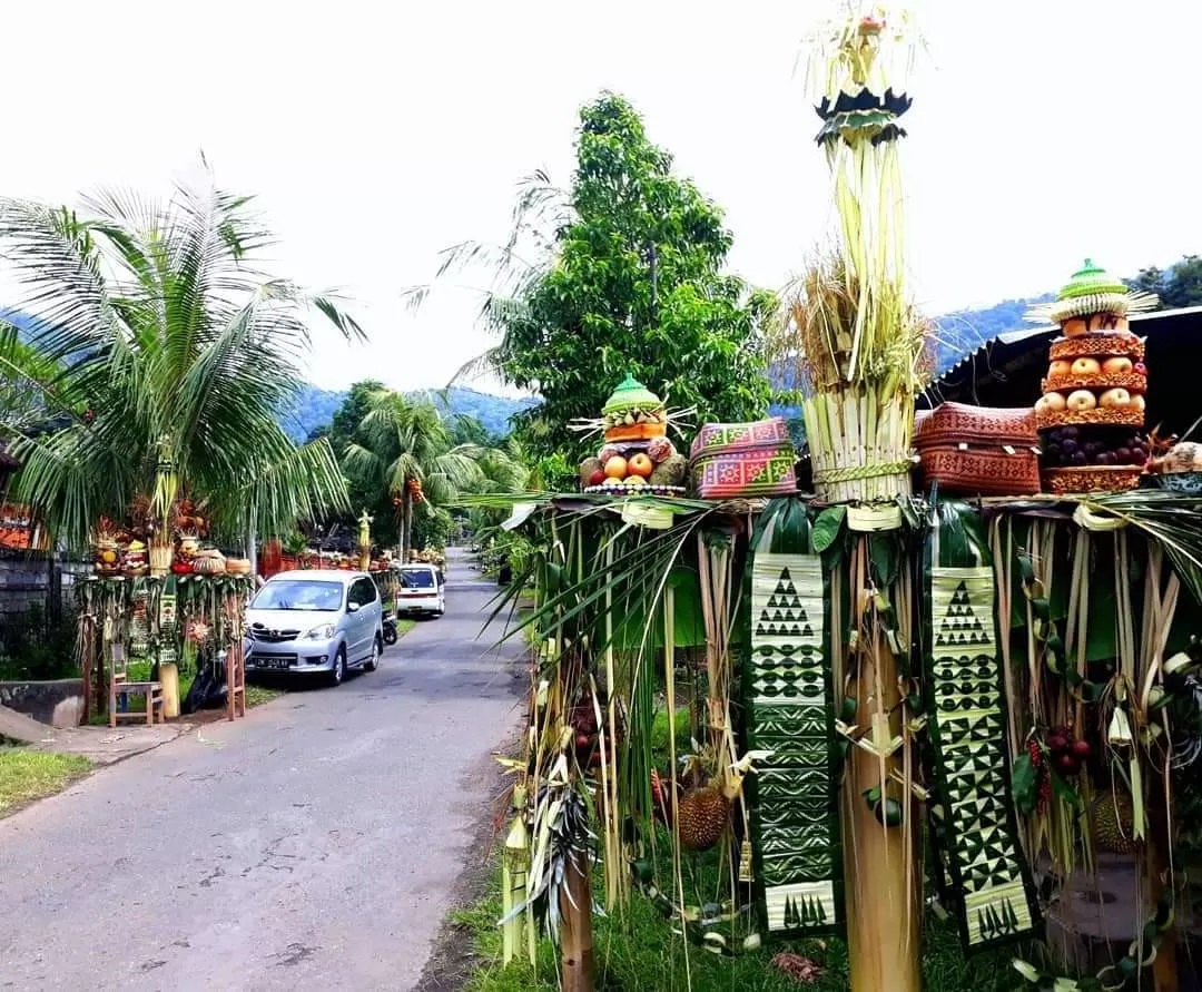 Ngusabha Gedebong Desa Pekraman Ngis, Kecamatan Manggis, Kabupaten Karangasem, Bali.