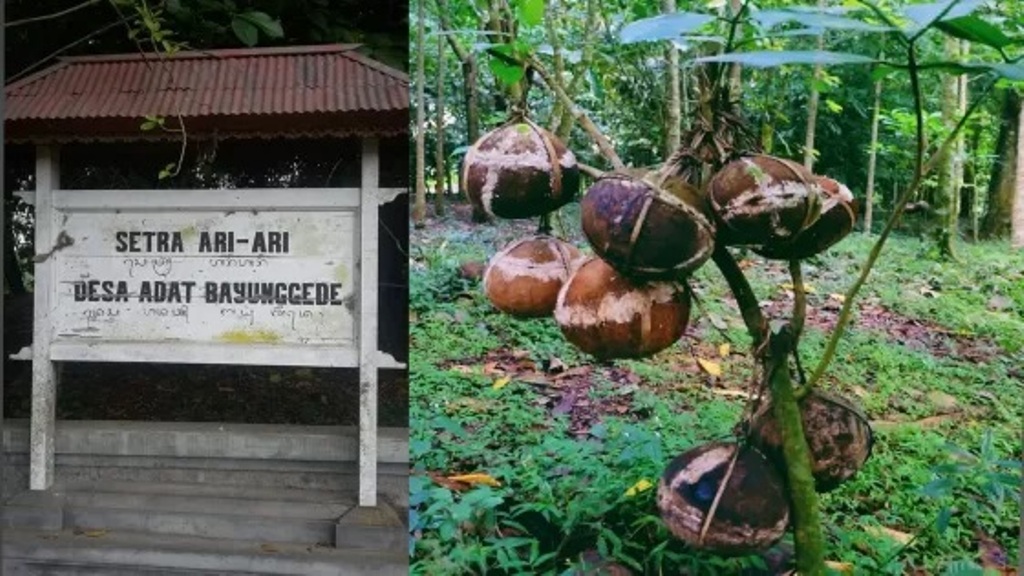 Setra Ari-ari di Desa Bayunggede, Kecamatan Kintamani, Kabupaten Bangli, Bali.
