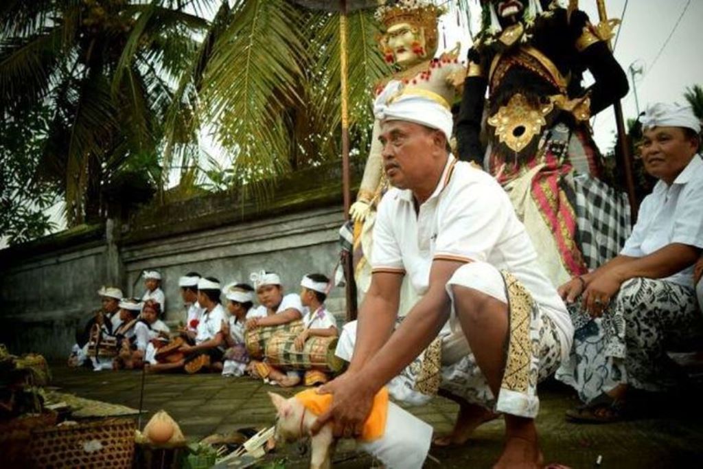 Ritual nyambleh dalam tradisi nangluk merana umat Hindu Bali.