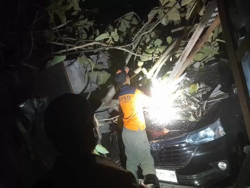 HARI NAHAS : Pohon tumbang menimpa garasi sewaan milik Ida Bagus Gede Suarsana di Semarapura. ( Foto: BPBD Klungkung)