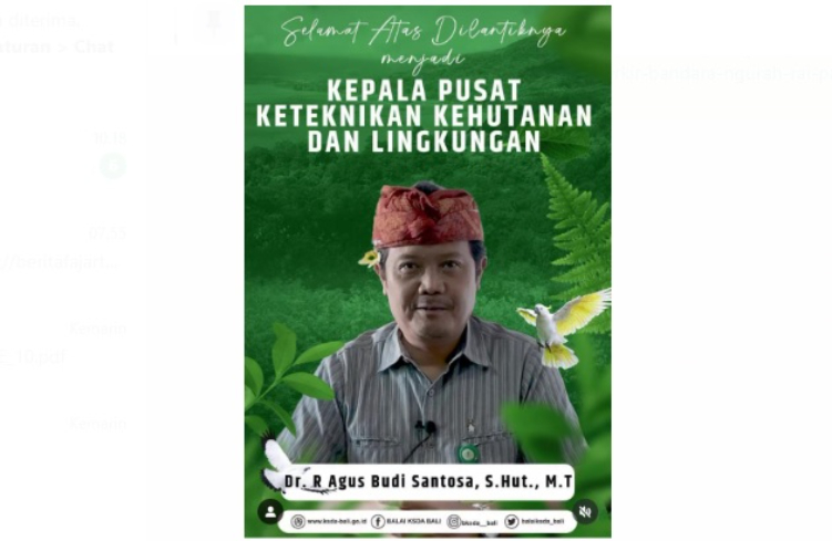 Kepala BKSDA Bali Naik Pangkat di Tengah Kasus Landak Jawa yang Melibatkan Nyoman Sukena