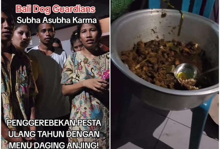 Penggerebekan pesta ulang tahun dengan menu daging anjing
