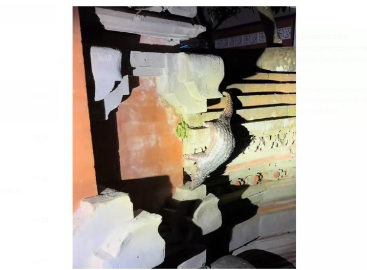 Seorang warga menemukan hewan Trenggiling