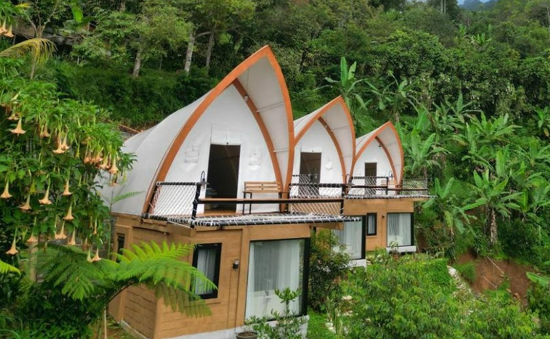 Selayang Olive Hill, Glamping Mewah di Bawah Kaki Gunung Salak