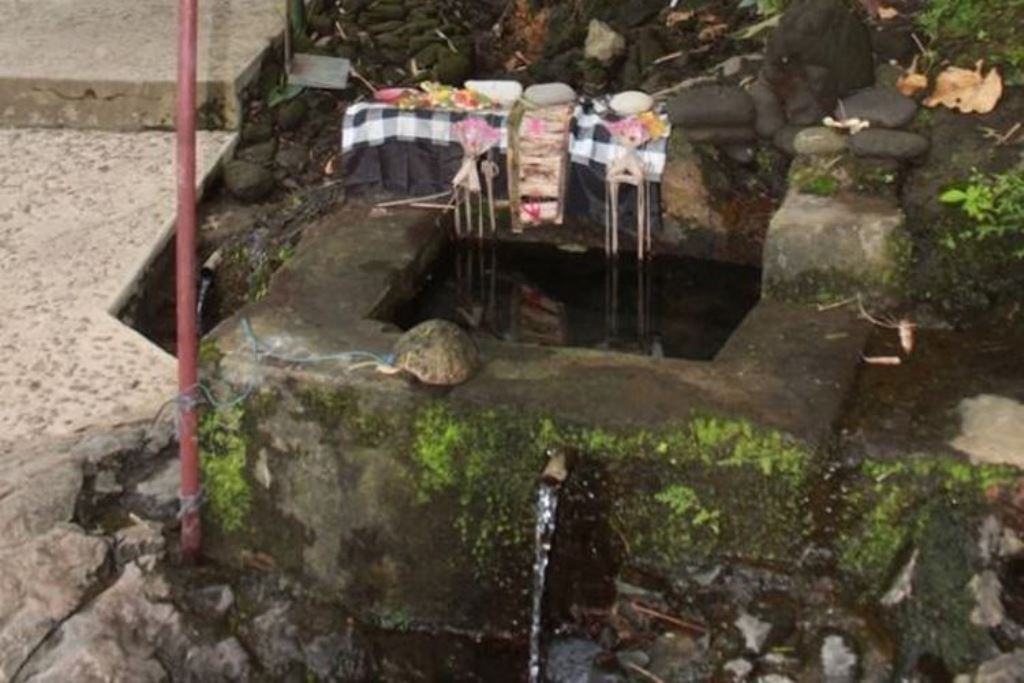 Mata Air Yeh Batu di Blangsinga, Gianyar, Bali.