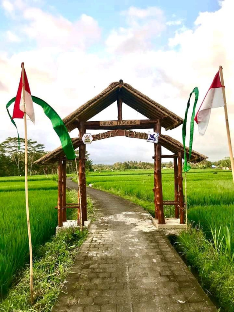 Jalur tracking di Desa Baha, Kecamatan Mengwi, Kabupaten Badung.
