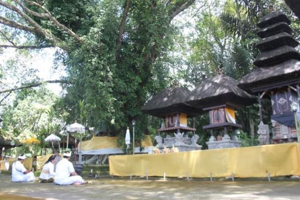 Misteri Gunung Batukaru dan Pura Luhur Pucak Petali: Tempat Sakral yang Menarik Pejabat hingga Ilmuwan