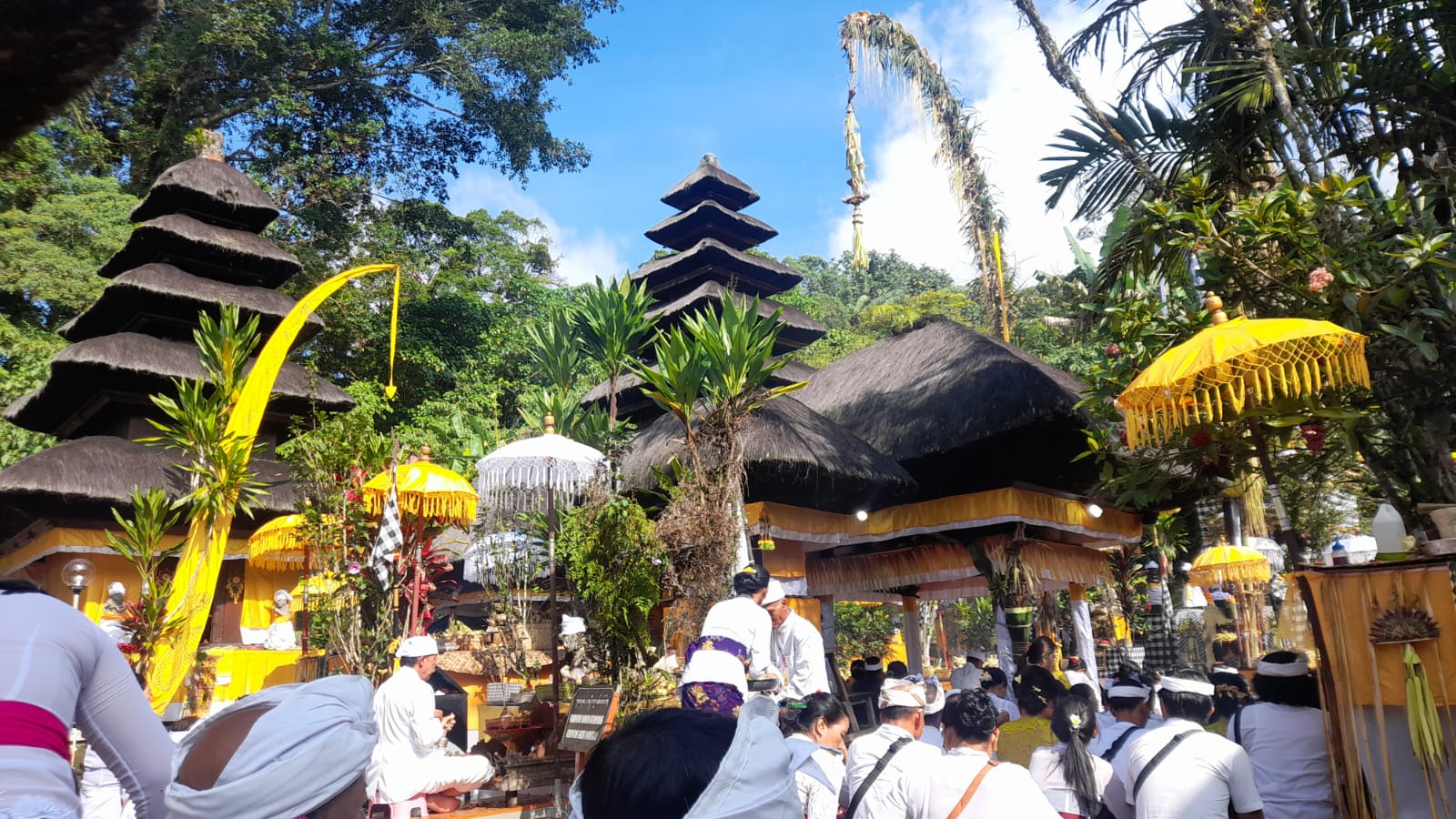 PENJOR : Penjor yang digunakan umat Hindu dalam pelaksanaan upacara agama.