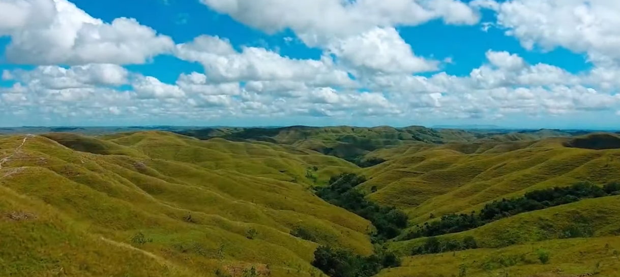 Bukit Wairinding tampil dalam nuansa hijau yang segar, menciptakan lanskap yang menyejukkan mata.