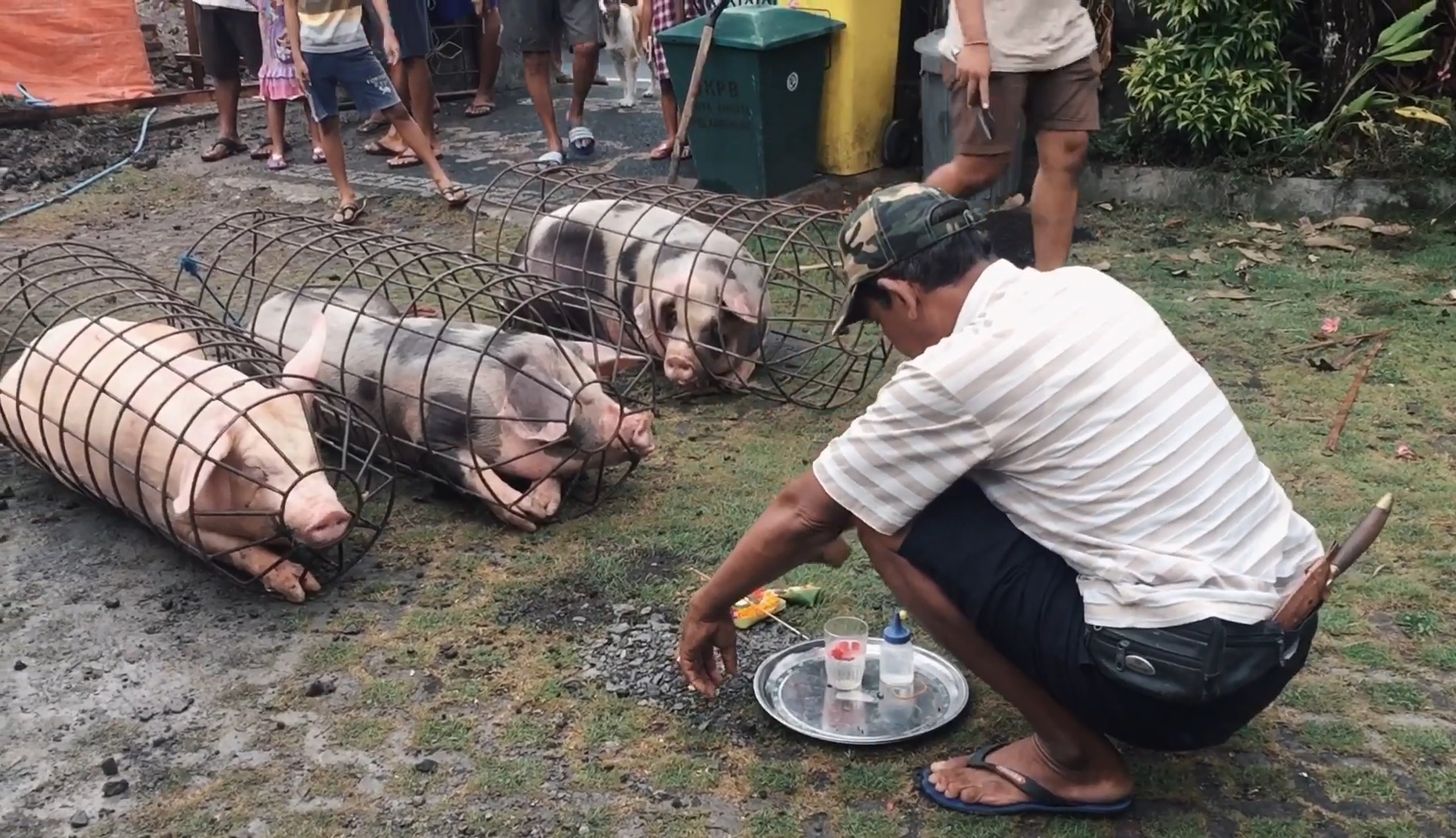 Bhuta Amangkurat pada hari Anggara Dunggulan (Selasa), yang disebut Panampahan Galungan, Bhuta ini menggoda perilaku manusia dalam memahami Galungan