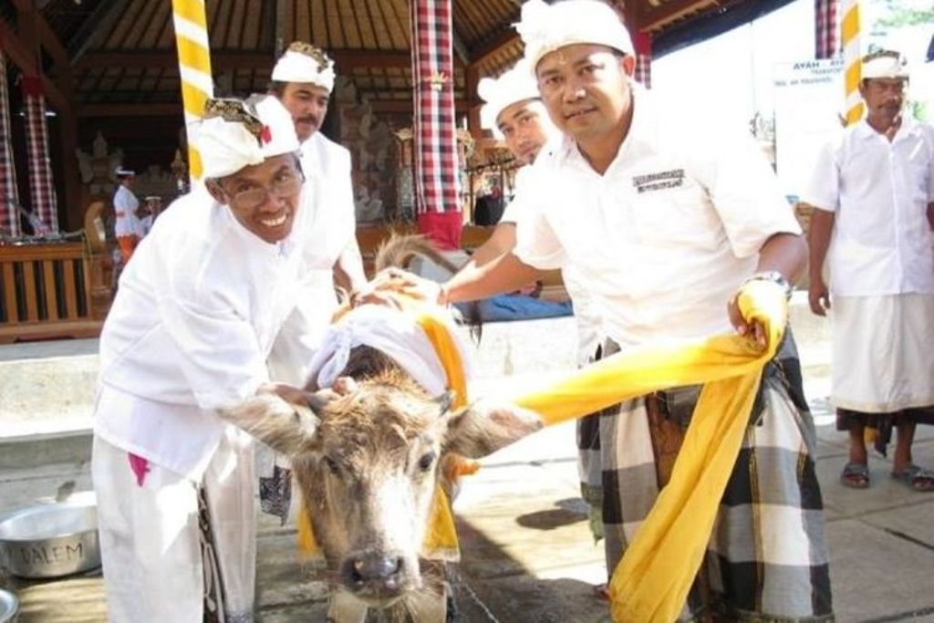 Ritual Mapepada yang dilaksanakan umat Hindu Bali