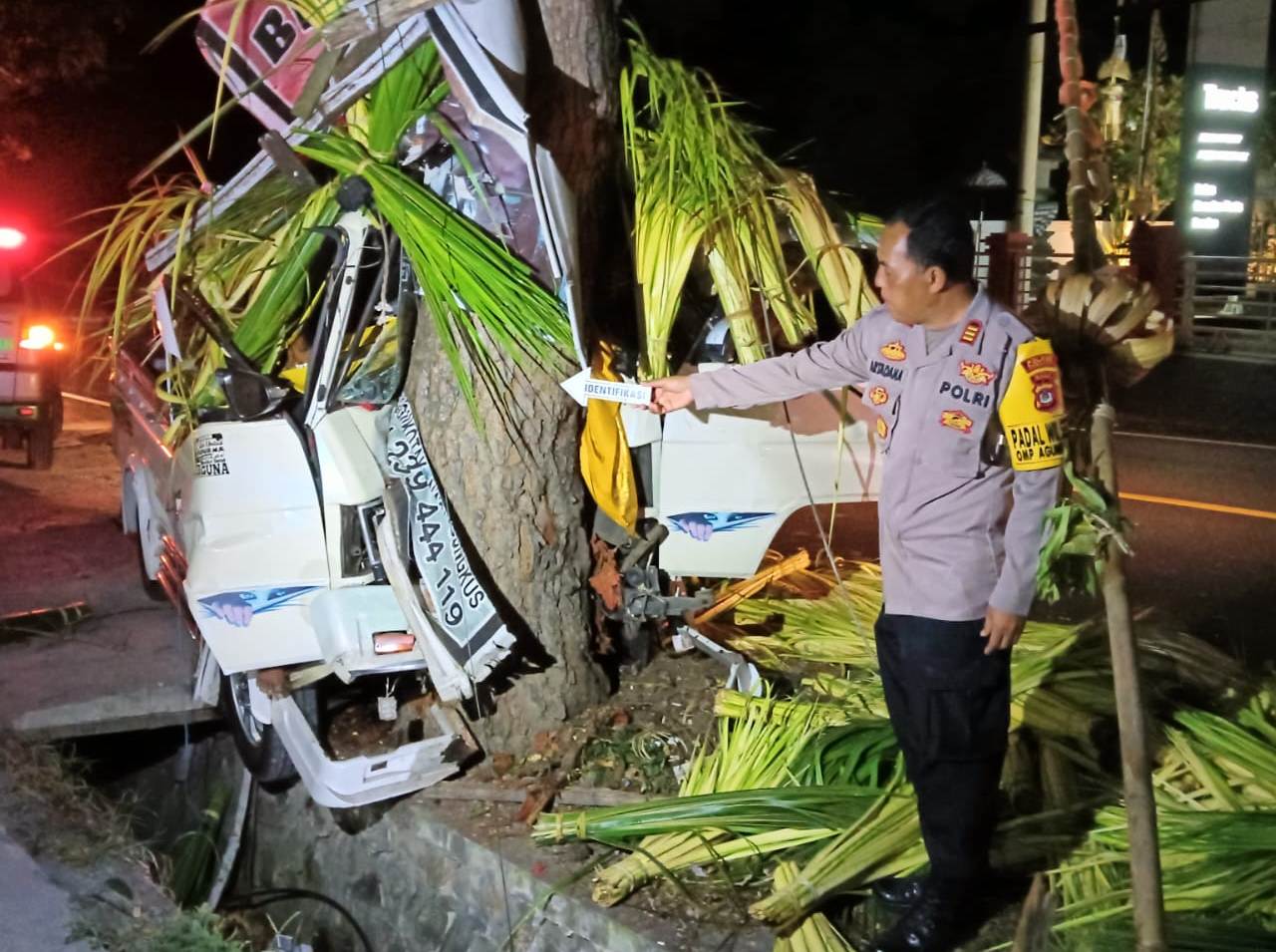 Kapolsek Selemadeg Timur, AKP I Nyoman Artadana, menunjukan lokasi kecelakaan Mitsubishi L300 pengangkut janur yang menghantam pohon Perindang dan menyebabkan Sopir tewas Terjepit.