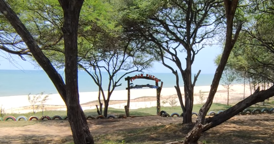Pantai Sowan dengan hamparan pasir putih di Tuban, Jawa Timur.