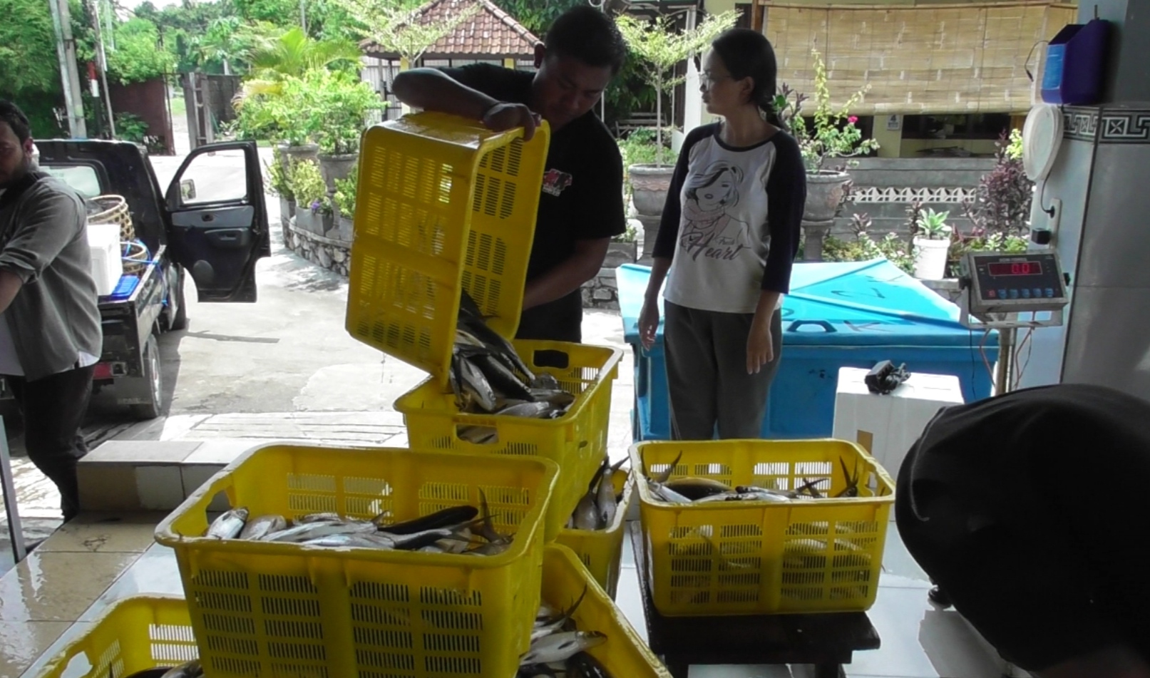 Hasil panen ikan bandeng dari pengembangan Keramba Tancap Laut di Desa Patas, Kecamatan Gerokgak, Buleleng