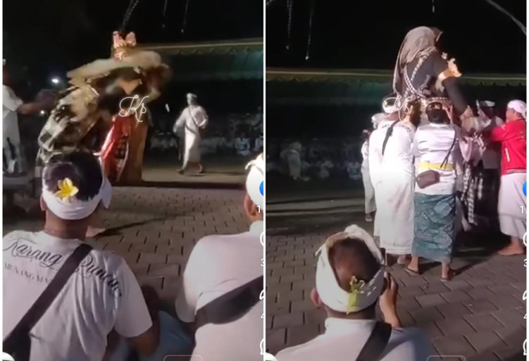 Barong Landung jatuh saat mesolah di Pura Dalem Segening Monang Maning