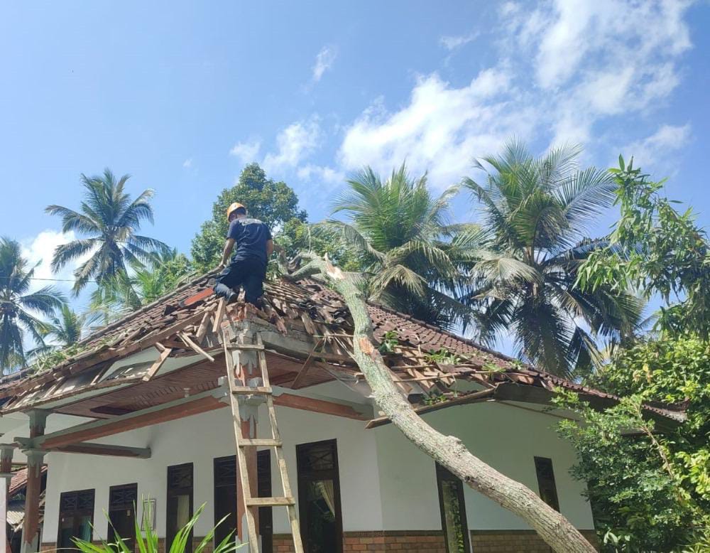 TIMPA RUMAH : Rumah warga di Banjar Pangkung Tanah Kangin, Desa Melaya, Kecamatan Melaya yang rusak akibat tertimpa pohon wani yang tumbang akibat angin puting beliung, Selasa (8/10).