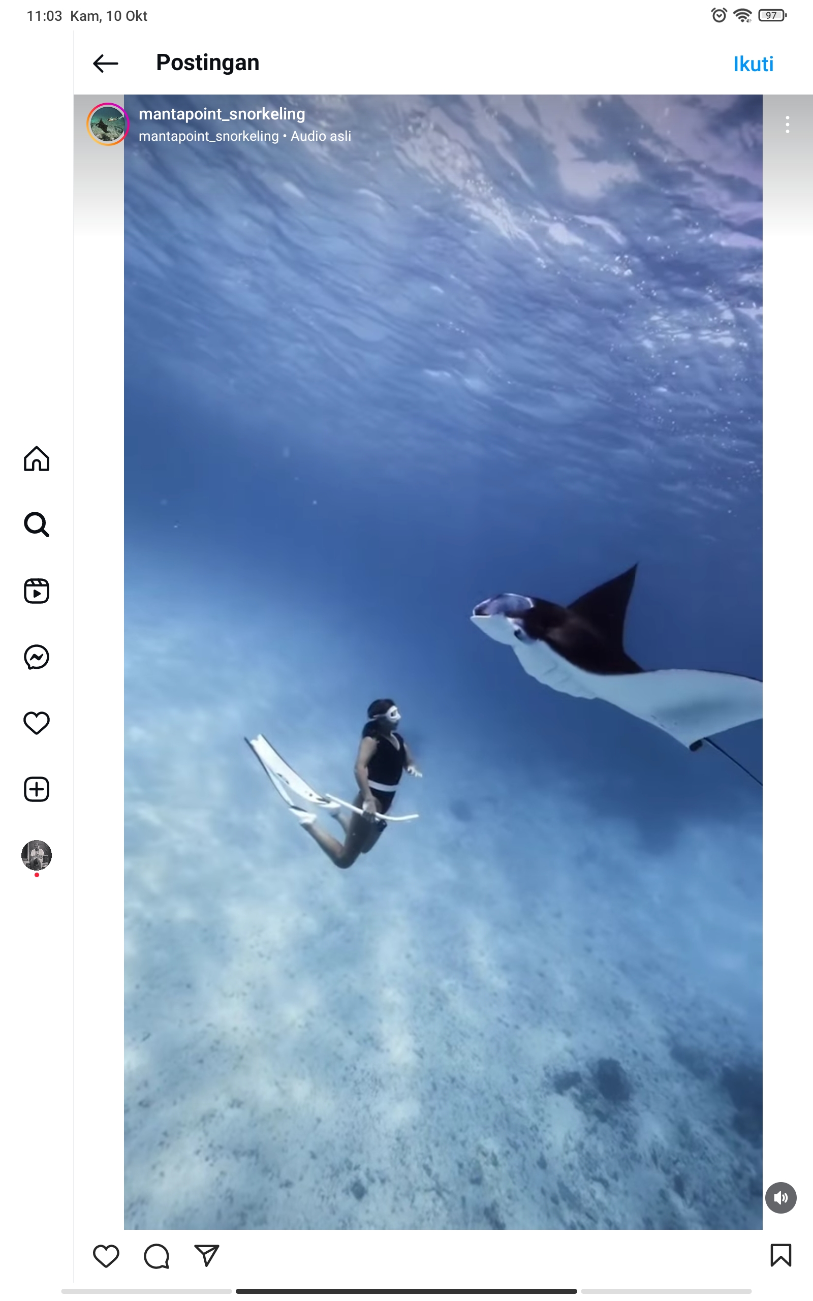 Diving bersama Pari Manta di Nusa Penida