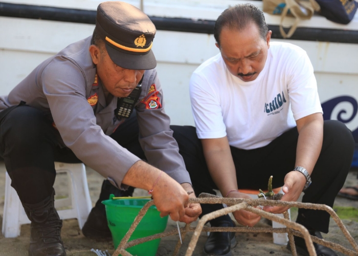 BUDIDAYA : Pj Bupati Klungkung I Nyoman Jendrika saat melakukan Coral Planting di pesisir Pantai Pantai Nusa Lembongan, Jumat (11/10/2024).