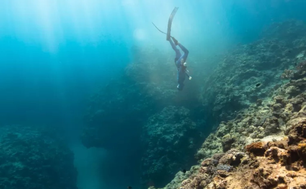 MENYELAM: Seorang warga AS dikabarkan hilang saat menyelam di laut Maluku. Ironisnya, tibuh bule tersebut ditemukan di perut hiu oleh nelayan Timor Leste.