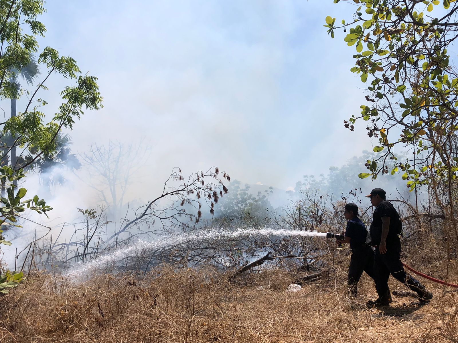 TERBAKAR: Petugas Damkartan Karangasem melakukan pemadaman terhadap lahan di Banjar Dinas Tigaron, Desa Sukadana, Kecamatan Kubu, Jumat (11/10).
