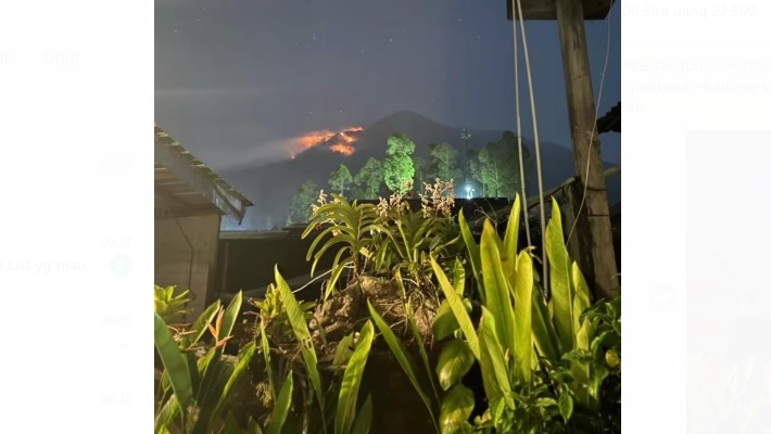 Viral kebakaran landa lereng Gunung Agung