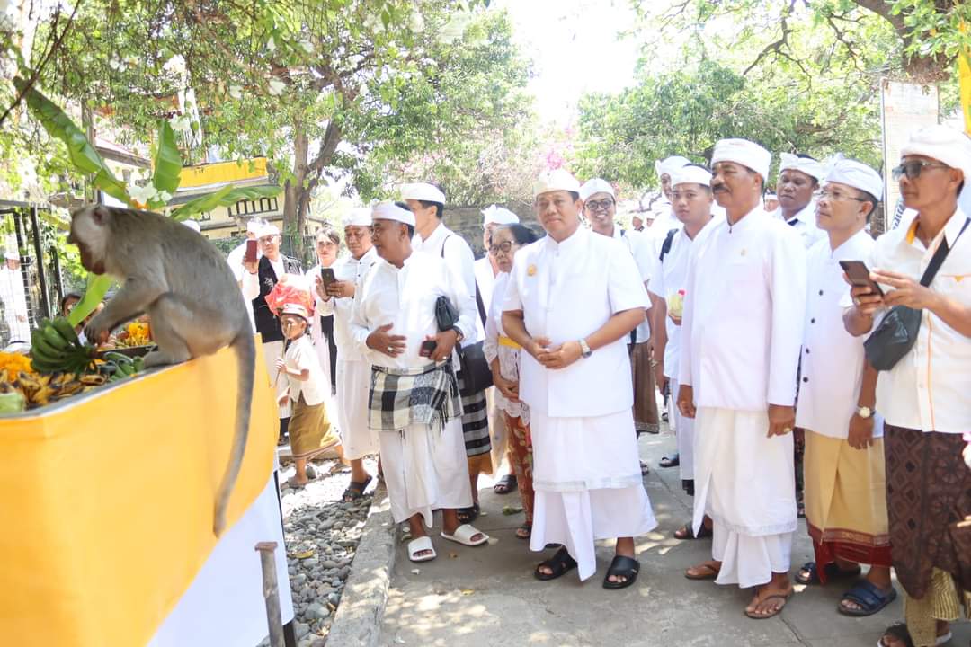 Wanaralaba di Pura Pulaki serangkaian Pujawali Sasih Kapat